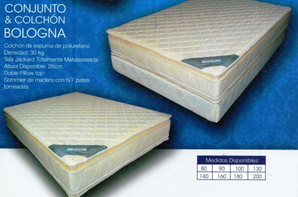Solo Colchon Bologna- 140 X 190 X 26. Espuma- Doble Pillow