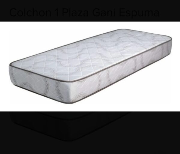 Colchón 1 Plaza De Espuma -gani- Gran Sueño Feliz - 80 X 18