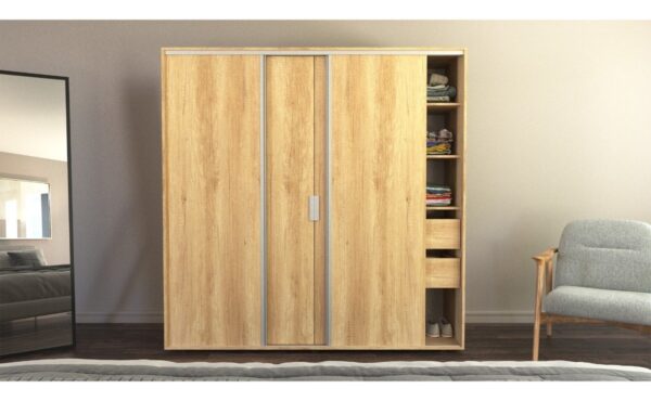 Ropero Placard Organizador- 4 Ptas, 2 Caj- Dl 355- 180 X 182