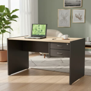 D_726678-MLA92898931702_092025-F.jpg Escritorio Oficina Con 2 Cajones- Melamina 18 Mm Cod 911