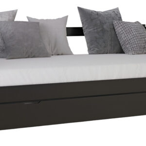 Divan Cama Con Carro Cama Pino Lustrado Cod. 207- Pacifico