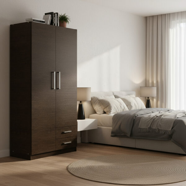 Ropero Placard Organizador 2 Puertas- 2 Cajones- Pac090