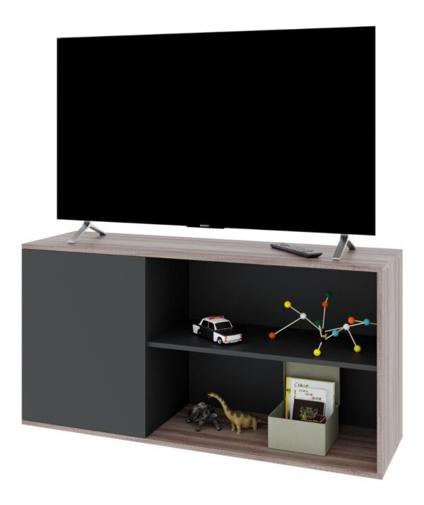 Rack Vision Para Tv 55 1 Puerta Y Estantes Dvs 02