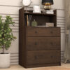 Comoda Cajonera Chiffonier 3 Cajones Con Estante Fellicci