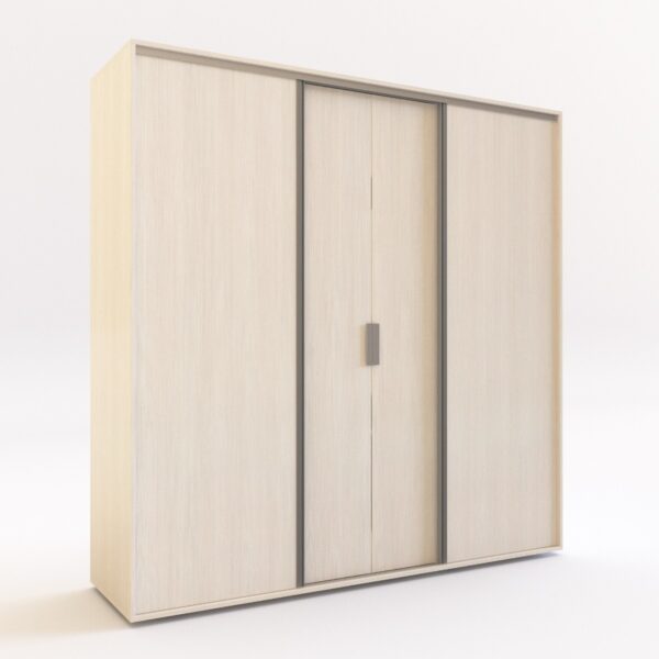 Ropero Placard Organizador- 4 Ptas, 2 Caj- Dl 355- 180 X 182