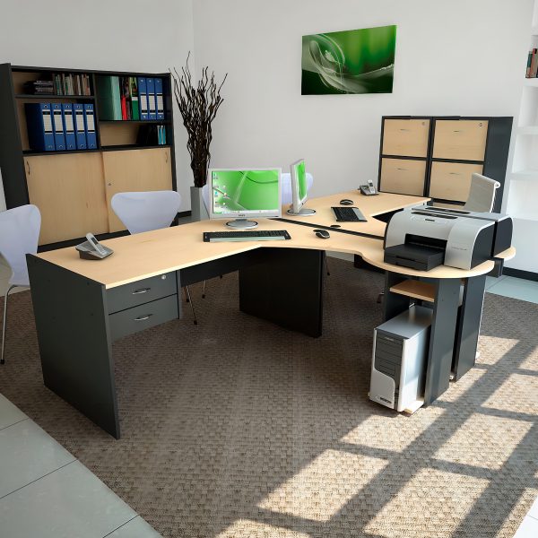 D_624315-MLU77604812036_072024-F.jpg Biblioteca Armario Mueble Organizador Ptas Corrediz Estantes Color Negro - Haya