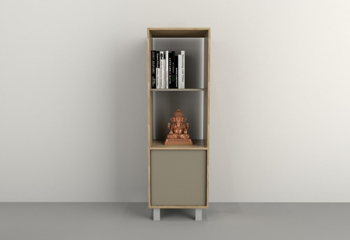 D_634261-MLA81785177582_012025-O.jpg Columna Organizador 1 Puerta, 45 X 140- Cod. 4103