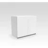 D_684748-MLA45241216302_032021-O.webp Alacena Organizador Colgante 2 Puertas. 80- 60-30. Perfil J