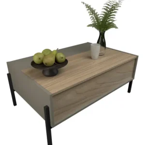 D_690248-MLA95602316833_102025-O.webp Mesa De Centro Con Puerta Gris C. Olmo F. Tables