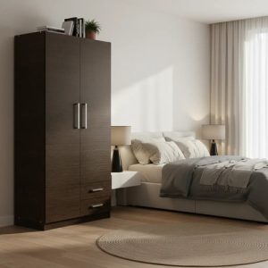 Ropero Placard Organizador 2 Puertas- 2 Cajones- Pac090