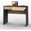 Escritorio 2 Cajones- 100 X 45 X 79- Melamina. Linea Niza