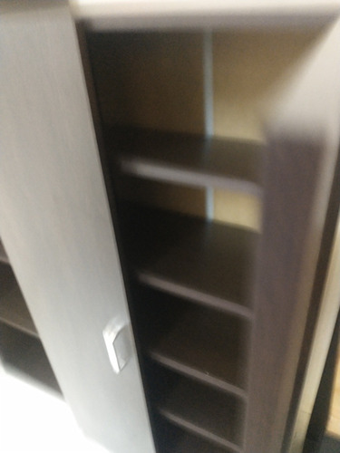Zapatero Botinero Organizador 2 Puertas- Estantes